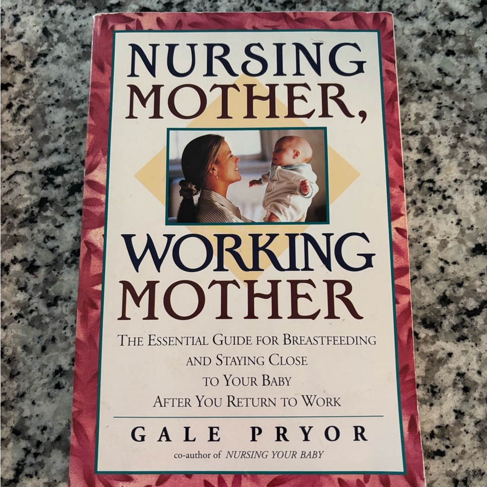 Nursing Mother Working Mother Book